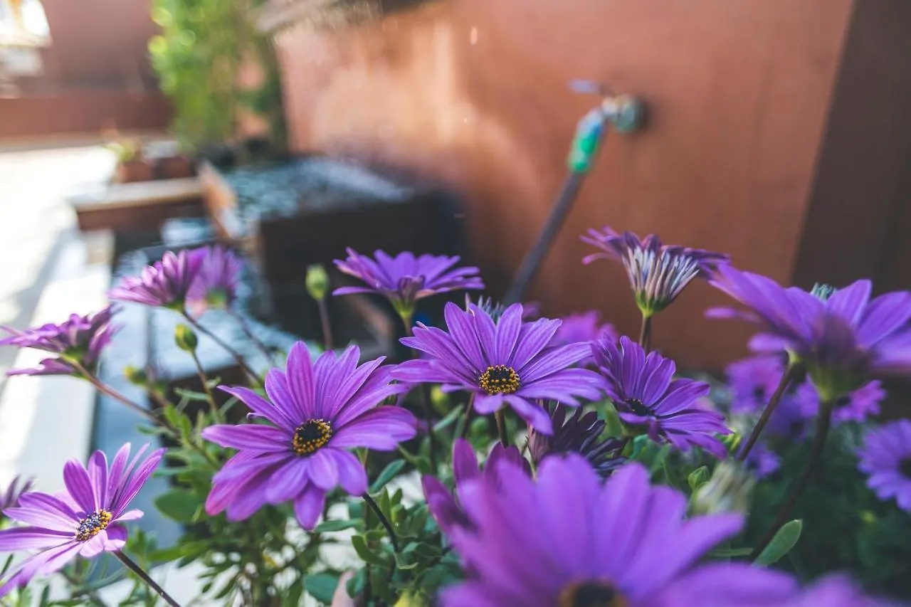 Apartamentos Turisticos La Castilleja Cordoba Spain